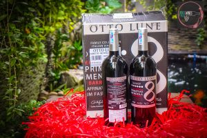 OTTO LUNE 8 Primitivo - Prowine