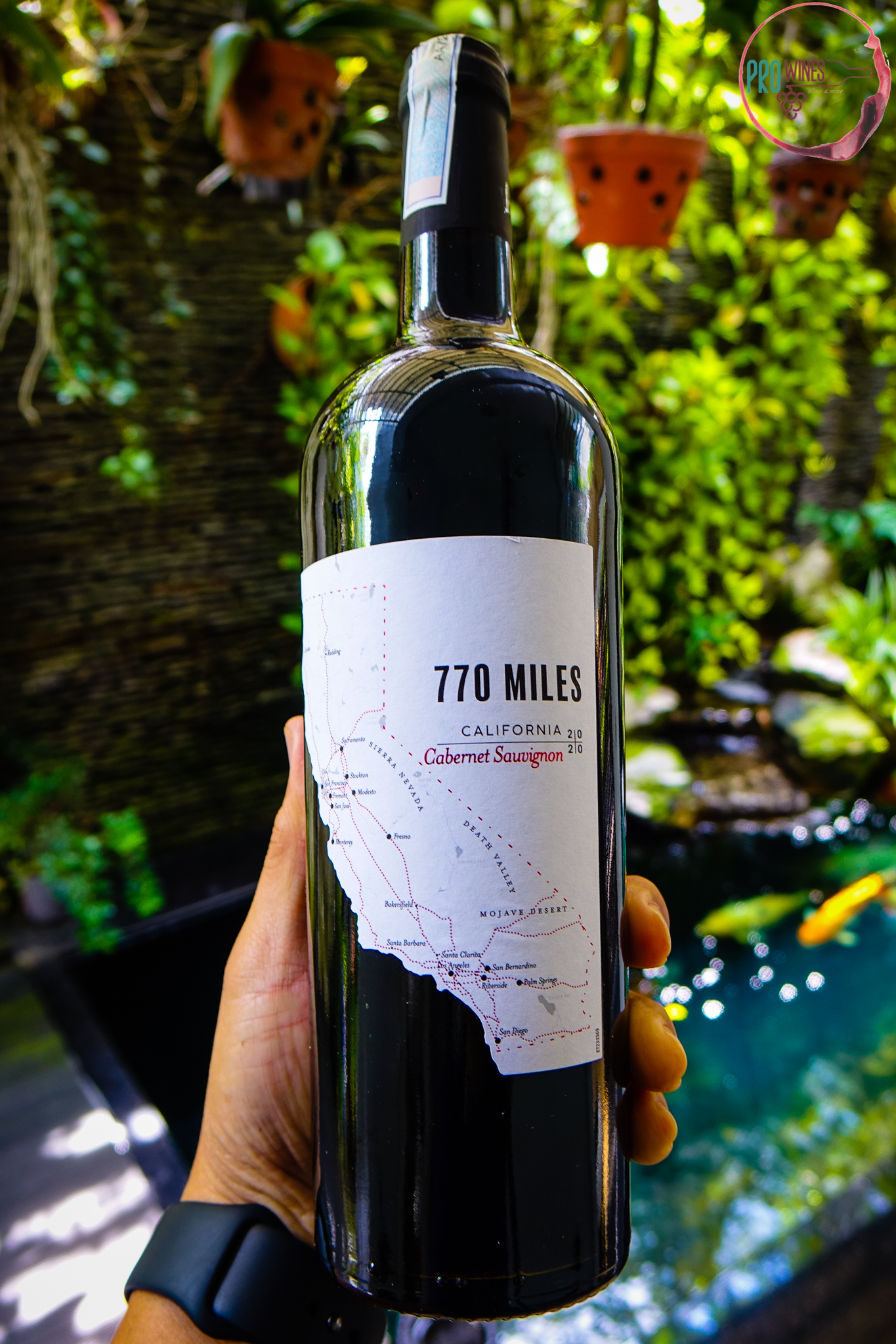 Rượu vang 770 Miles Cabernet Sauvignon – Prowine